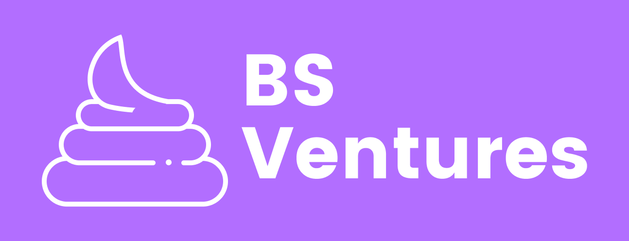 BS Venture Capital