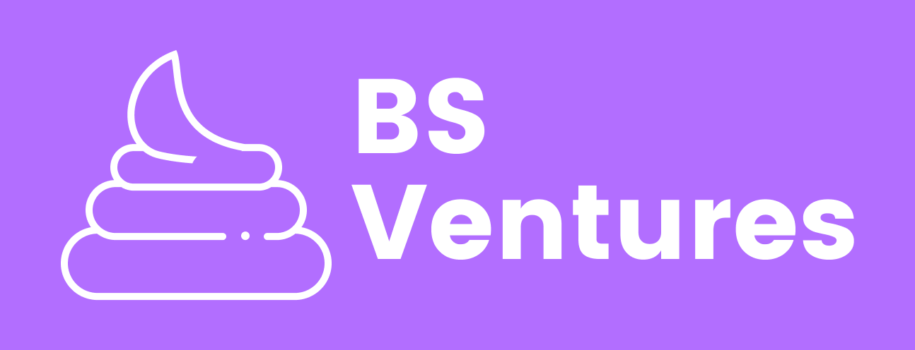 BS Venture Capital BS Venture Capital